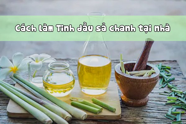 Cách làm tinh dầu sả chanh nguyên chất tại nhà nhanh nhất