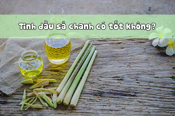 Sử dụng tinh dầu sả chanh có tốt không?