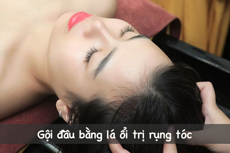 Gội đầu bằng lá ổi trị rụng tóc