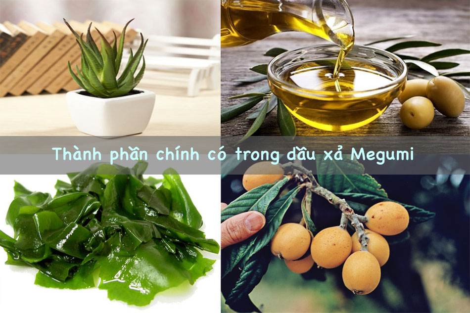 Thành phần chính có trong dầu xả Megumi